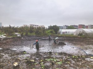 迁安河道鱼塘清淤
